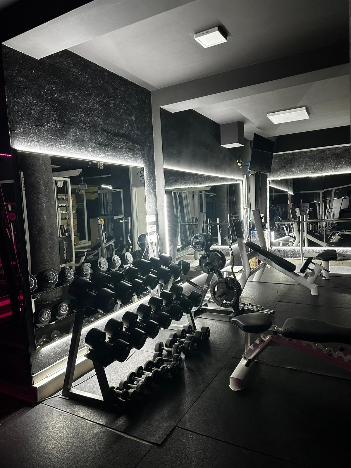 Free weights area