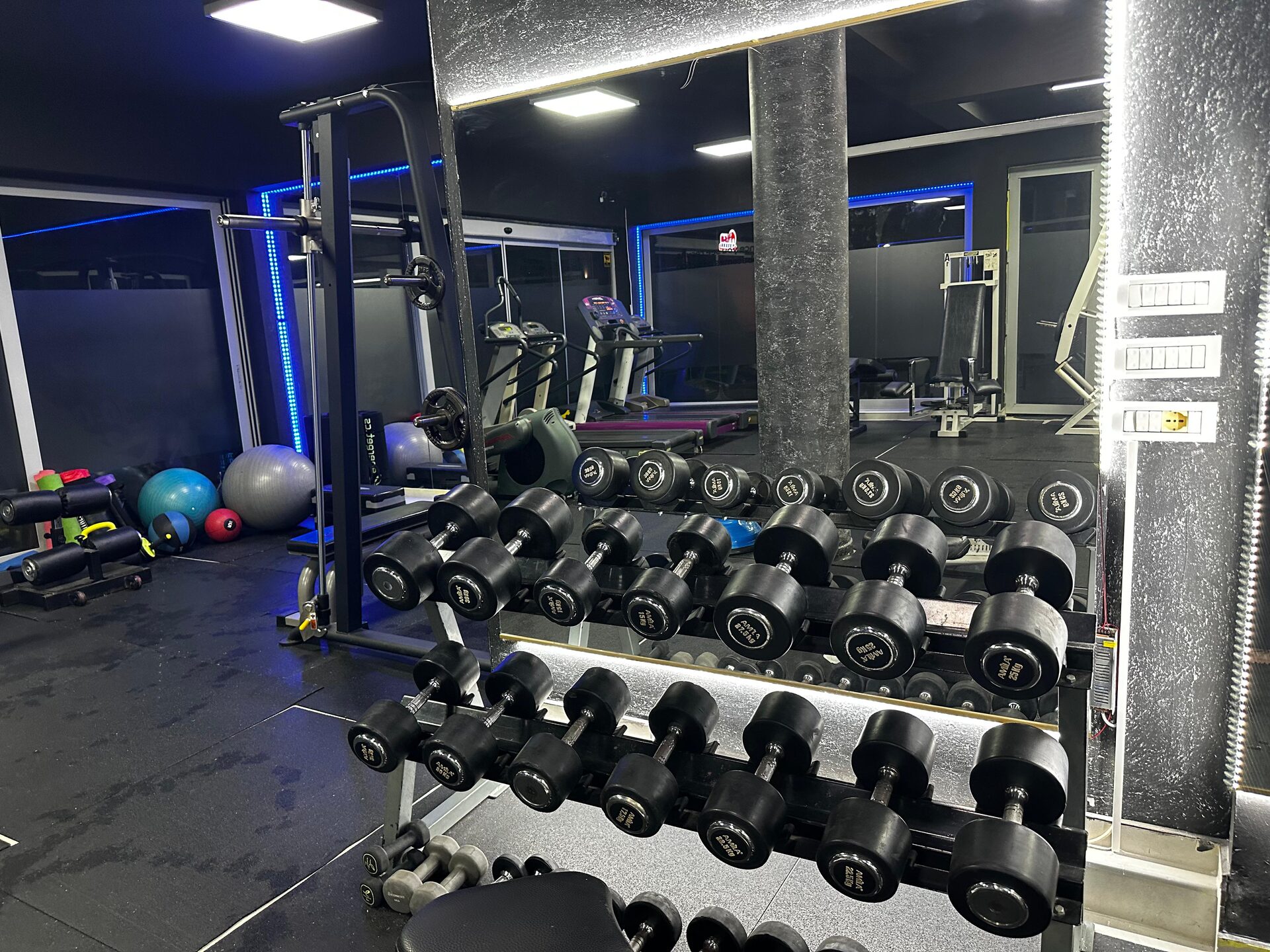 Free weights and blue LED accent